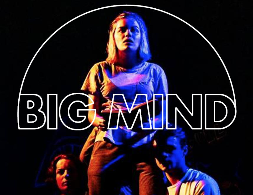 A photo from a show with the Big Mind logo placed on top